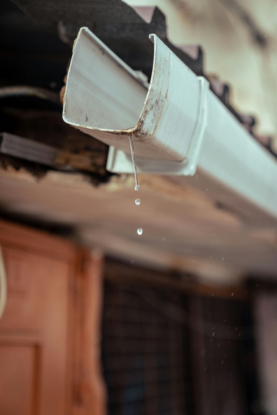 Professional Gutter Service