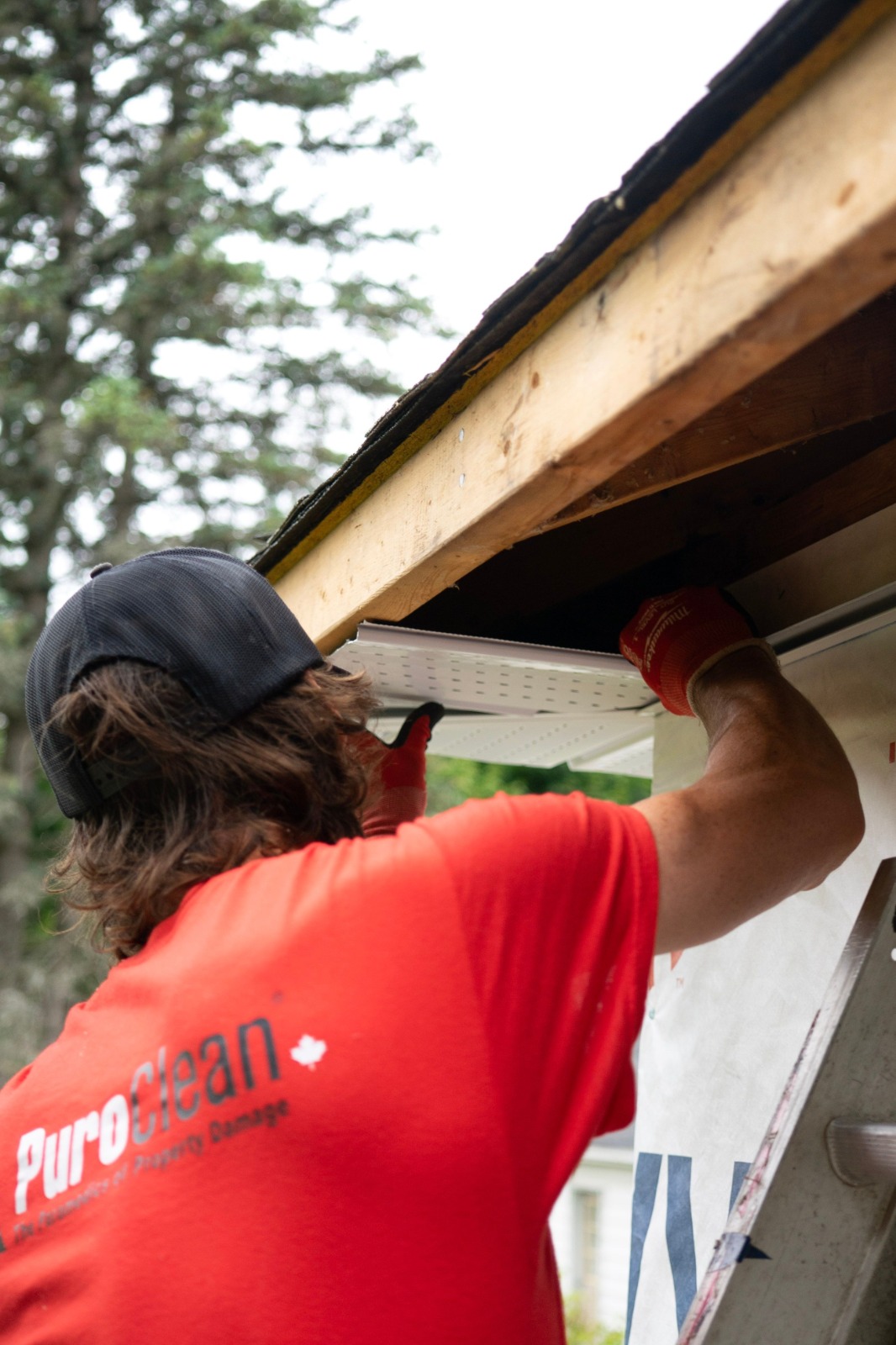 Gutter Replacement Project